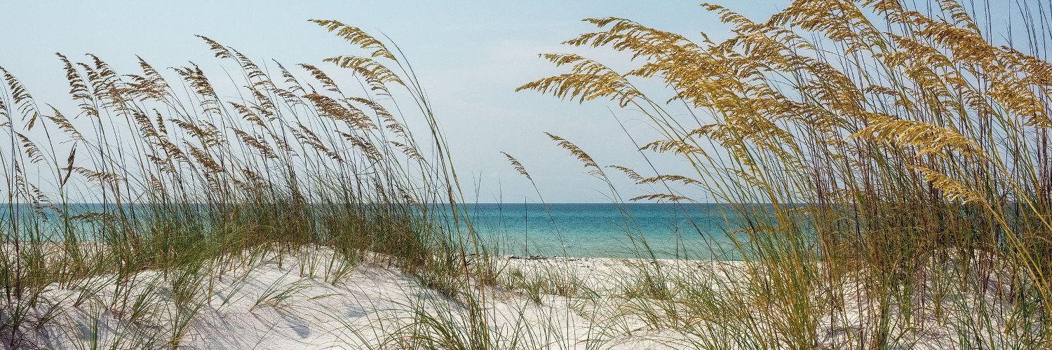 Banner image of Title Agency